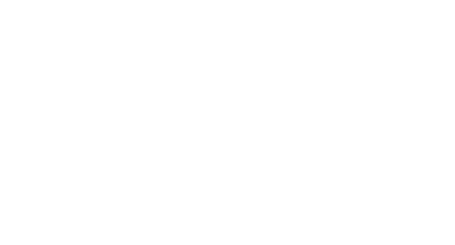Logo Apart Hotel Viva